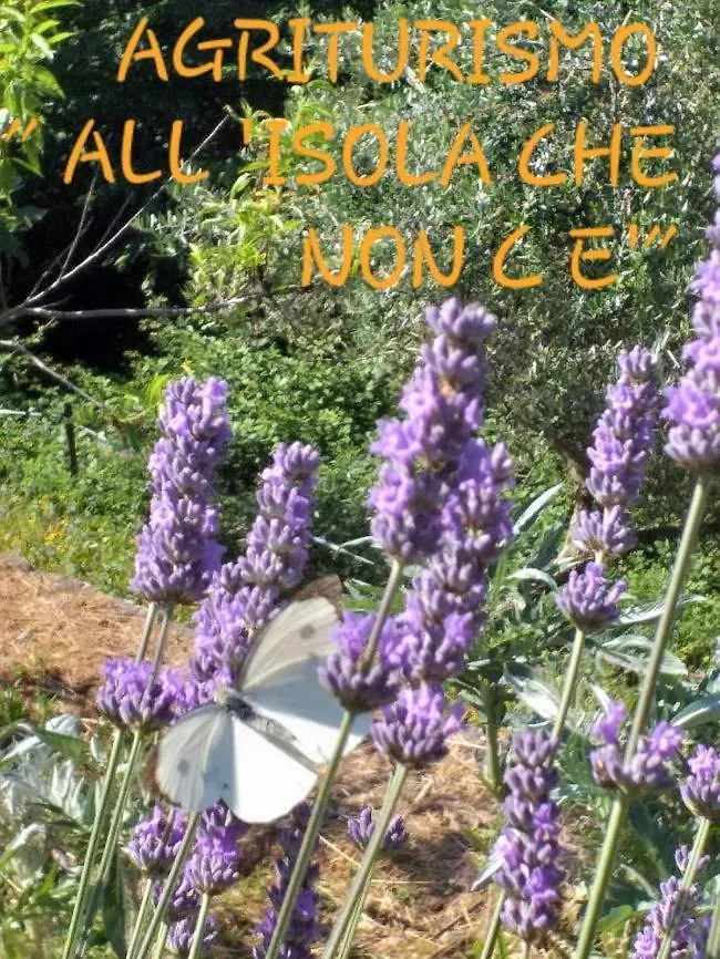 Agriturismo All'Isola Che Non C'E' Villa La Spezia 0*,
