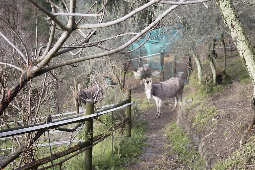 Farm stay Agriturismo All'Isola Che Non C'E' Villa La Spezia