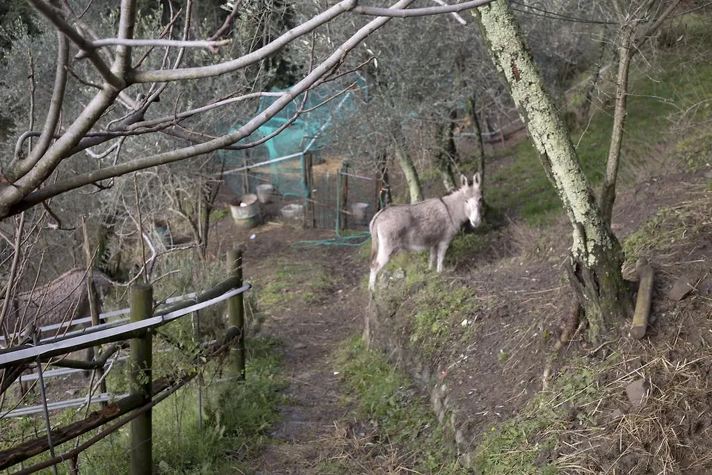 Vakantieboerderij Agriturismo All'Isola Che Non C'E' Villa La Spezia Italië